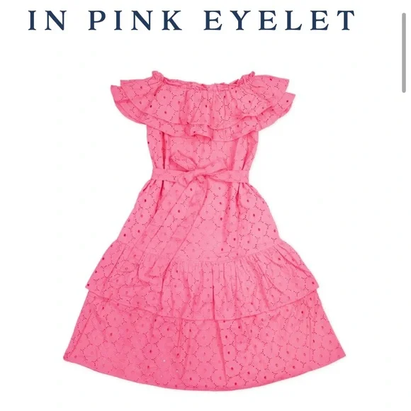 💞Elizabeth Wilson Pink Eyelet ruffle midi dress size small. - Picture 4 of 4